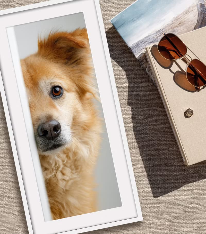 裝飾畫-附畫框 | 入厝禮| 掛畫| 民宿佈置|  室內設計| 海報