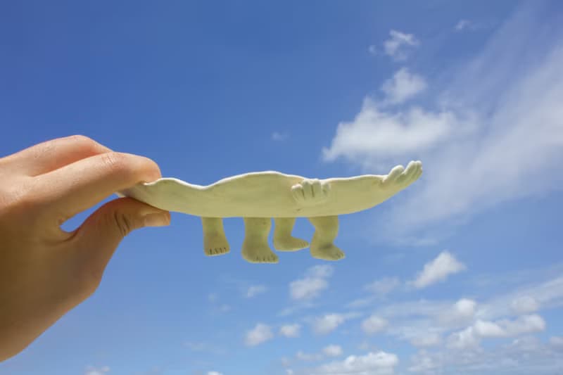 四腳獸陶瓷盤、盆器、果盤、禮物