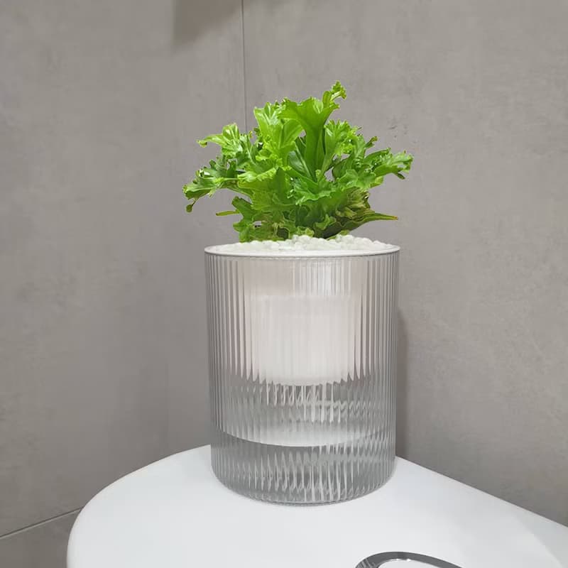 植栽 室內盆栽 無印風 鹿角山蘇