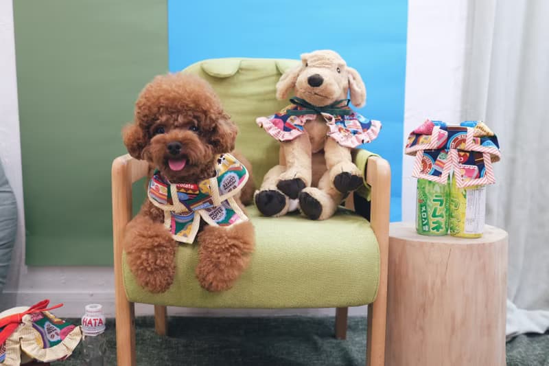 綠色懷舊朱古力 x 蛋黃間條 蝴蝶cut (方腳)