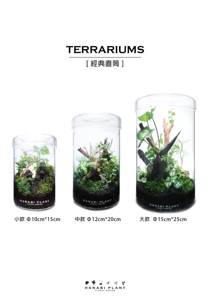 【訂製】蕨醒經典生態瓶-經典直筒(小)
