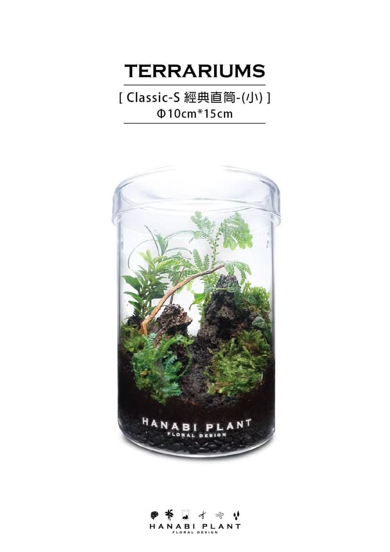 【訂製】蕨醒經典生態瓶-經典直筒(小)