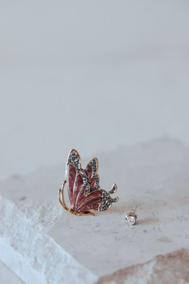 COR-DATE / 小豆色烤漆不對稱蝴蝶耳環