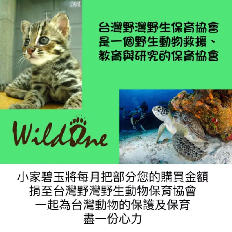 玉見主 玉 墜子 項鍊 天然碧玉 925 純銀  母親節 十字架 禮物