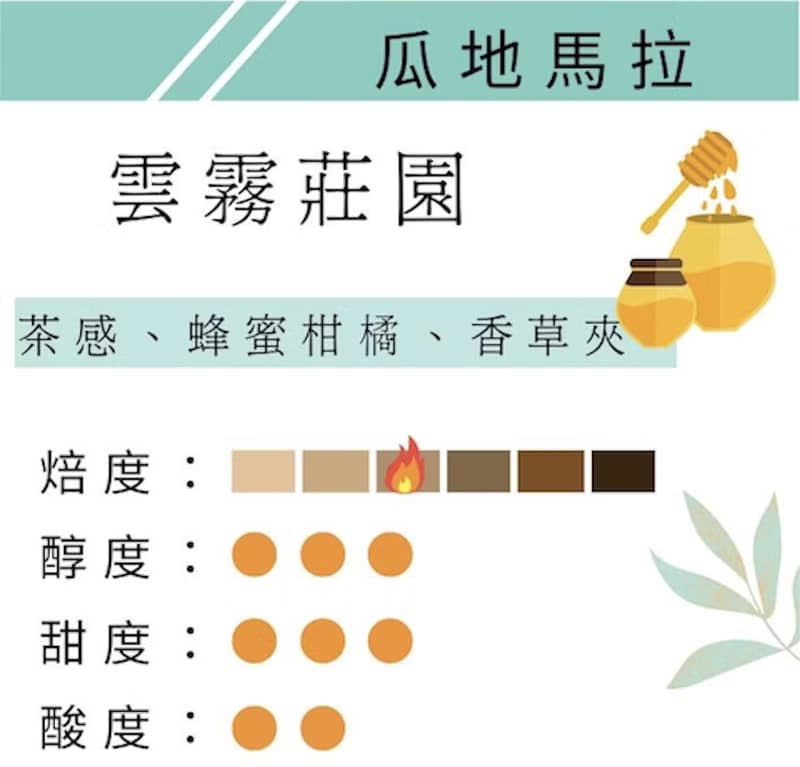 鑠咖啡 瓜地馬拉 雲霧莊園 蜜處理 中淺焙 濾掛咖啡 耳掛