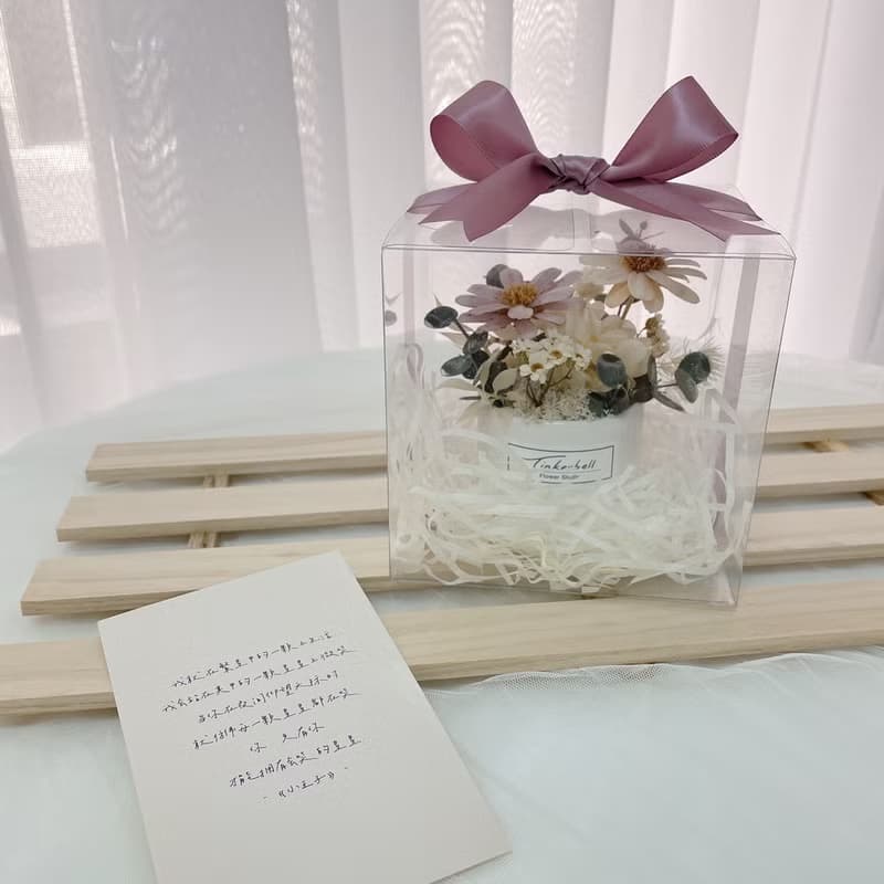 恬靜小時光 小雛菊盆花 永生花