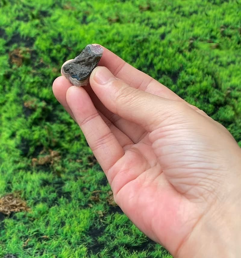 紫晶簇 // 雪霜白水晶 // 能量水晶 // 招財開運  // 快速出貨