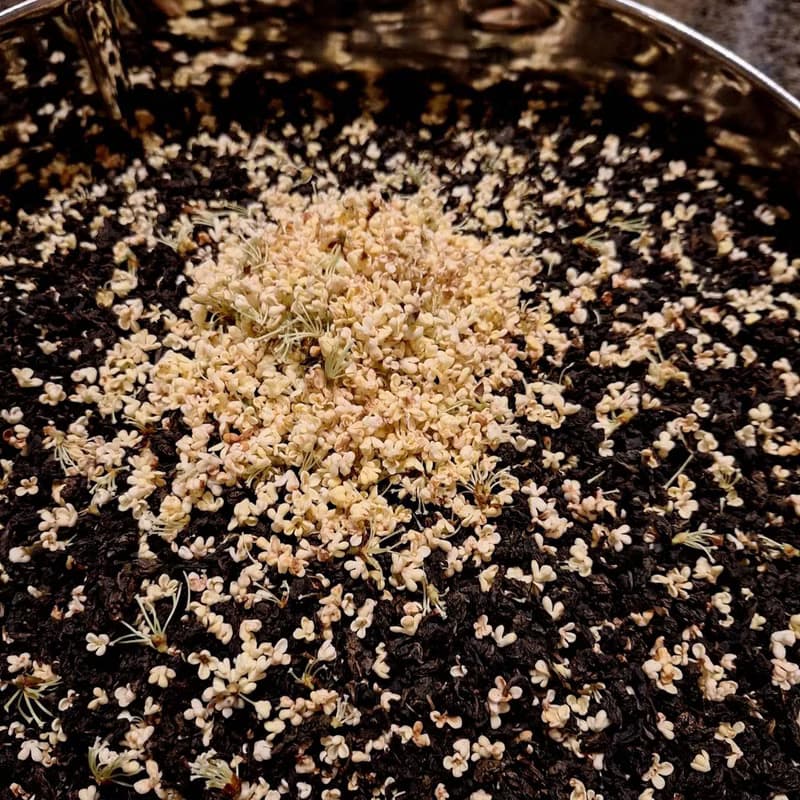 【照起工】台灣味花茶-桂花八角烏龍 傳統窨製工藝x剪紙藝術