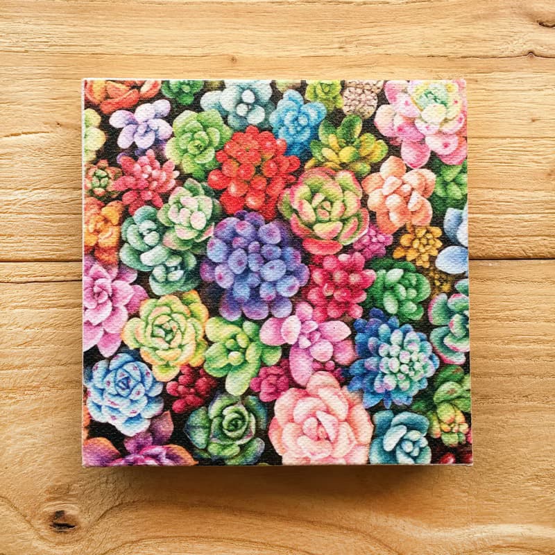 【多肉】小型藝術微噴 | 繽紛盆栽藝術 | 植物畫作現代裝飾