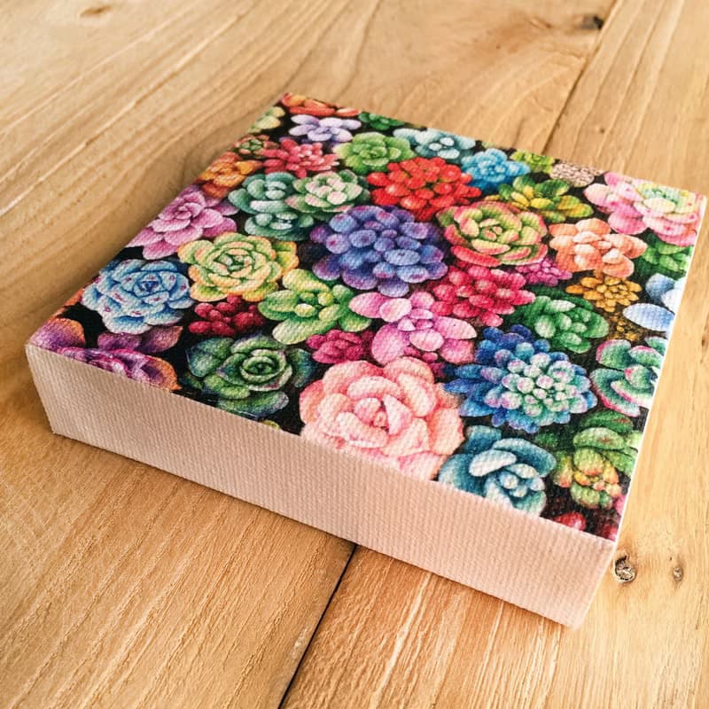 【多肉】小型藝術微噴 | 繽紛盆栽藝術 | 植物畫作現代裝飾