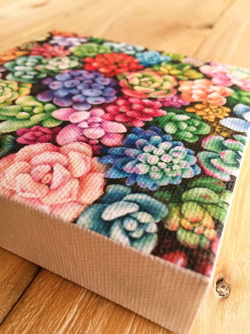 【多肉】小型藝術微噴 | 繽紛盆栽藝術 | 植物畫作現代裝飾