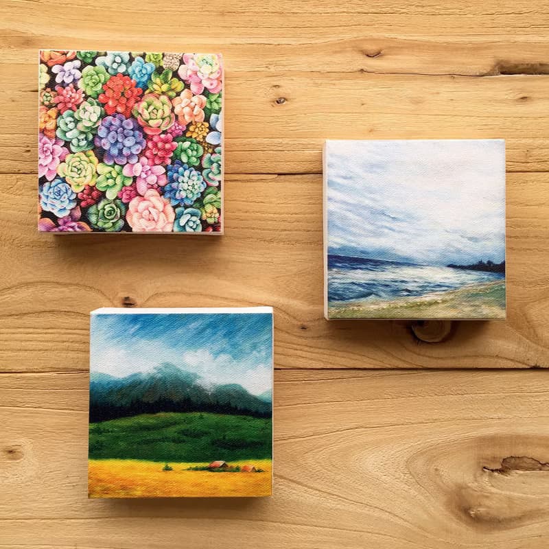 【多肉】小型藝術微噴 | 繽紛盆栽藝術 | 植物畫作現代裝飾