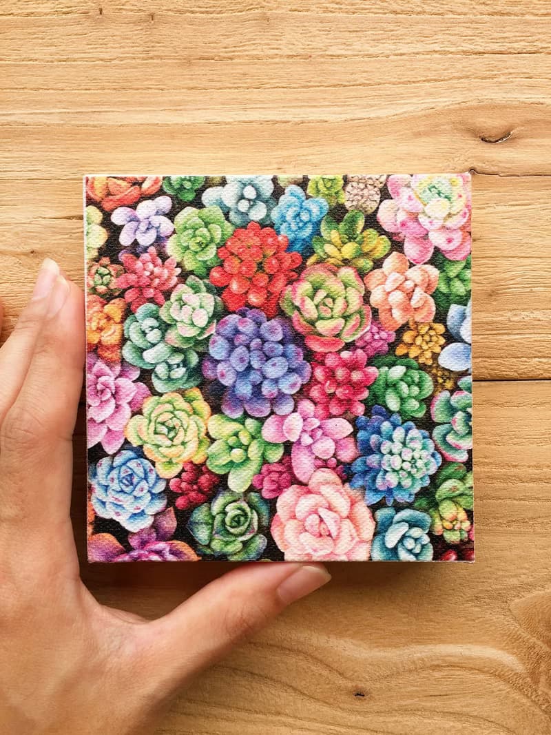 【多肉】小型藝術微噴 | 繽紛盆栽藝術 | 植物畫作現代裝飾
