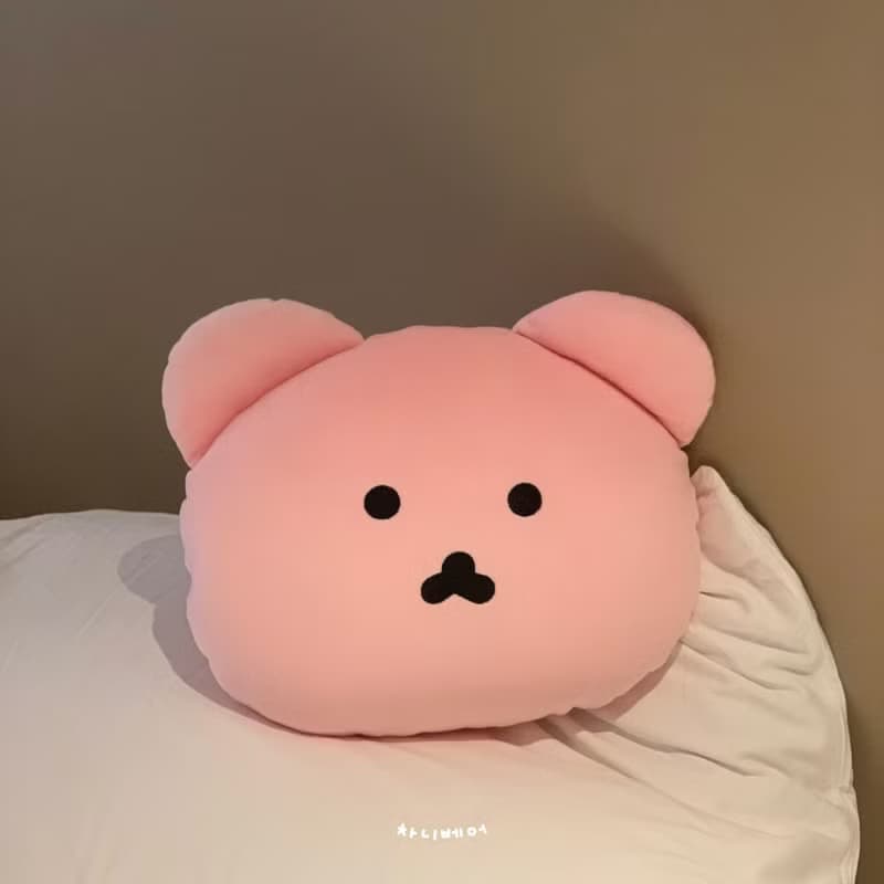 Chanibear Face Cushion (Pink) / Bear Pillows
