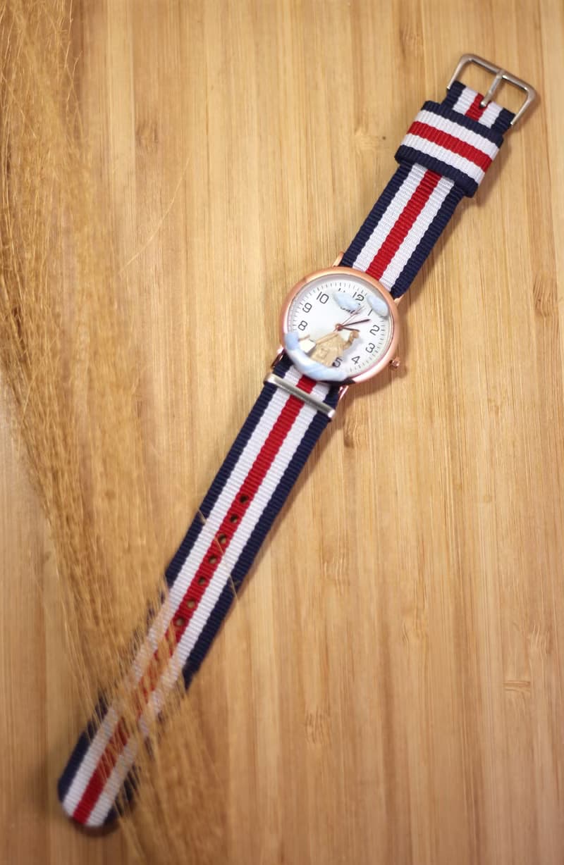 立體場景手錶 deexplorerWatch