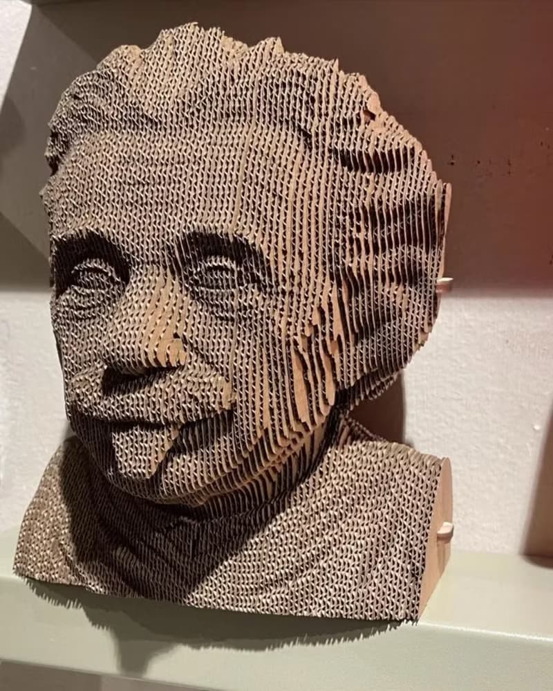 Cartonic - ALBERT EINSTEIN 愛因斯坦 3D立體拼圖