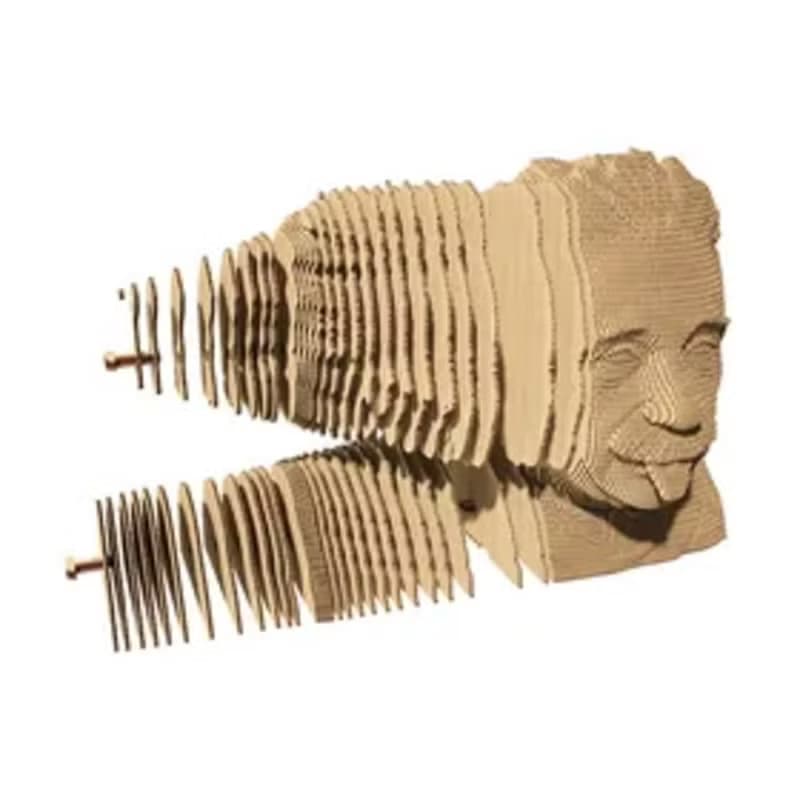 Cartonic - ALBERT EINSTEIN 愛因斯坦 3D立體拼圖
