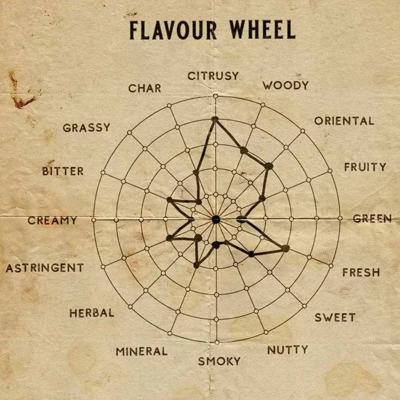 Senteur Lab-純茗流光系列茶香水50ml - 金禪馥香