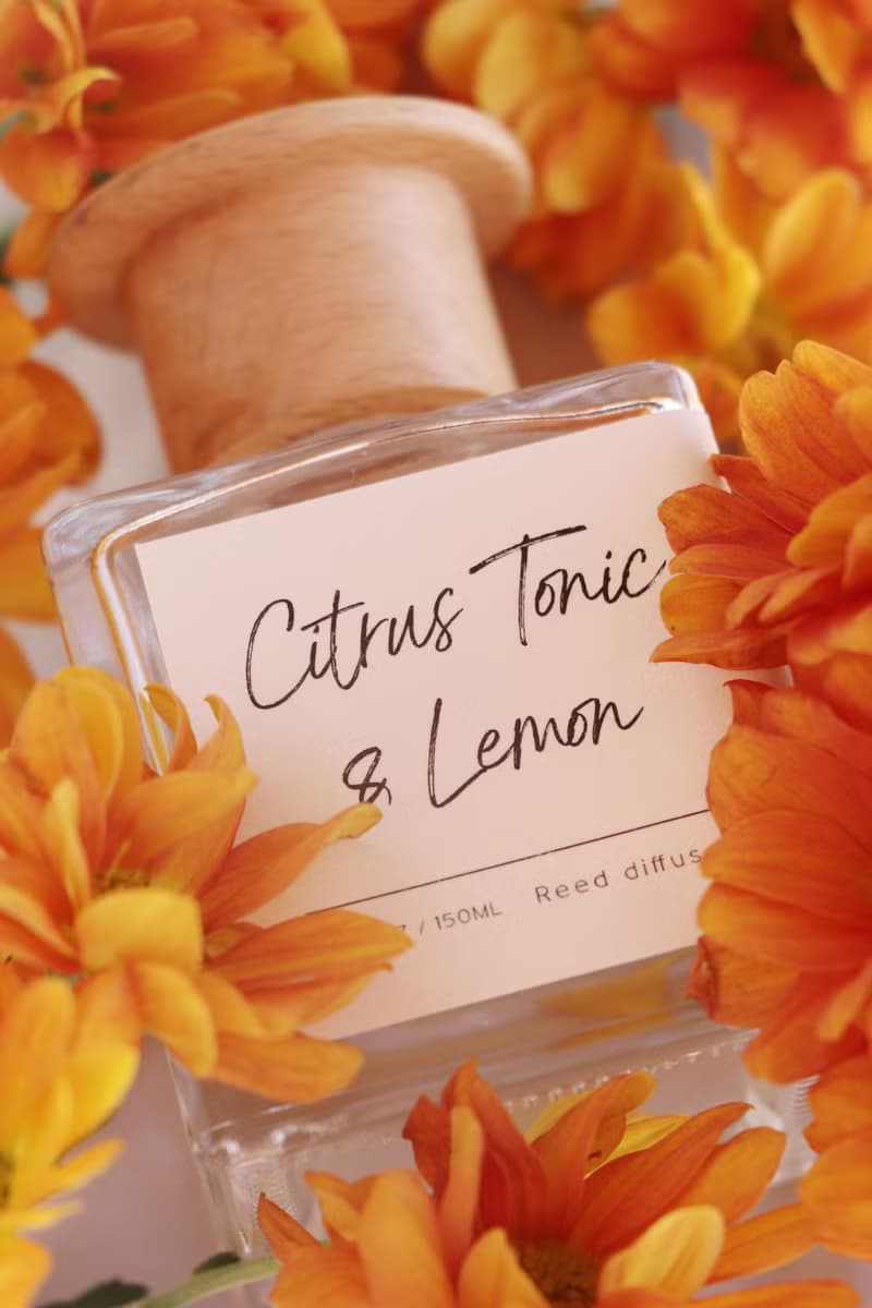 【柑橘蘇打與檸檬 Citrus Tonic & Lemon】藤枝香薰 150ML
