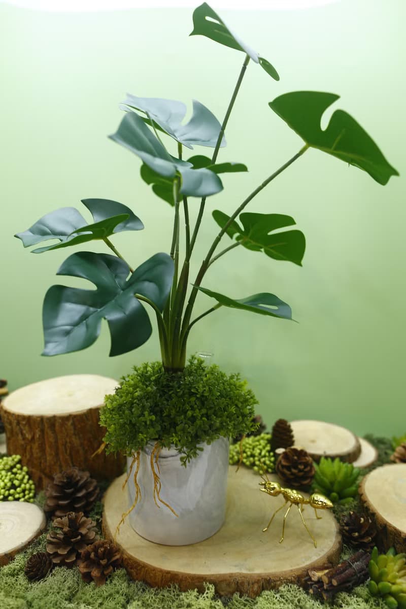 擬真龜背芋 電信蘭香氛植栽 高款/擬真植物/人造盆栽/綠化/佈置