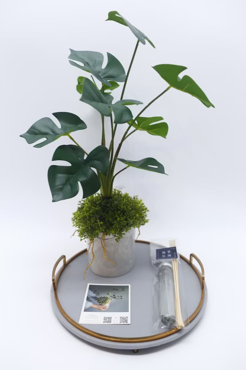 擬真龜背芋 電信蘭香氛植栽 高款/擬真植物/人造盆栽/綠化/佈置