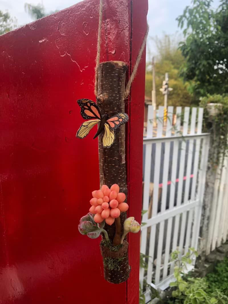造型多肉植物擺飾