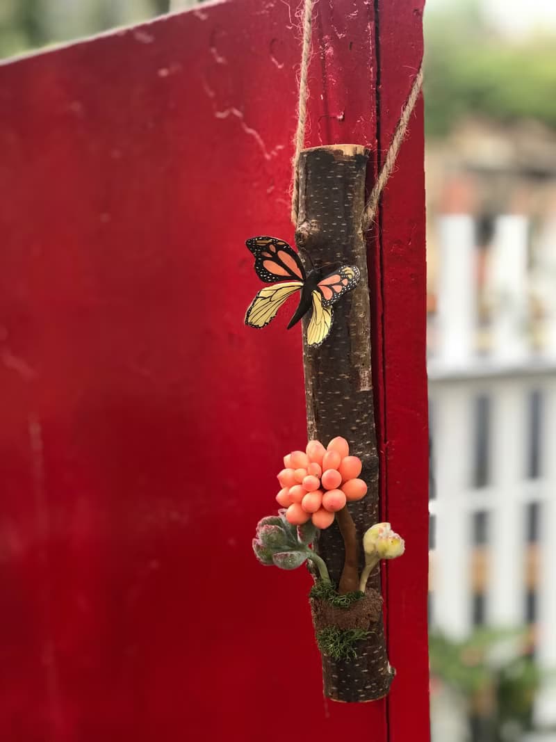 造型多肉植物擺飾