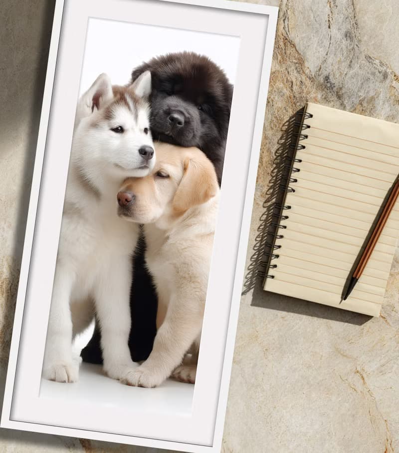 裝飾畫-附畫框 | 入厝禮| 掛畫| 民宿佈置|  室內設計| 海報