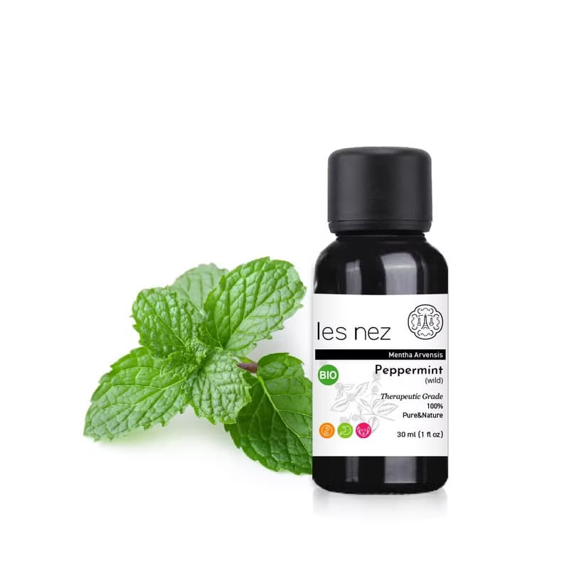 【Les nez 香鼻子】天然單方胡椒薄荷/野地薄荷純精油 30ML