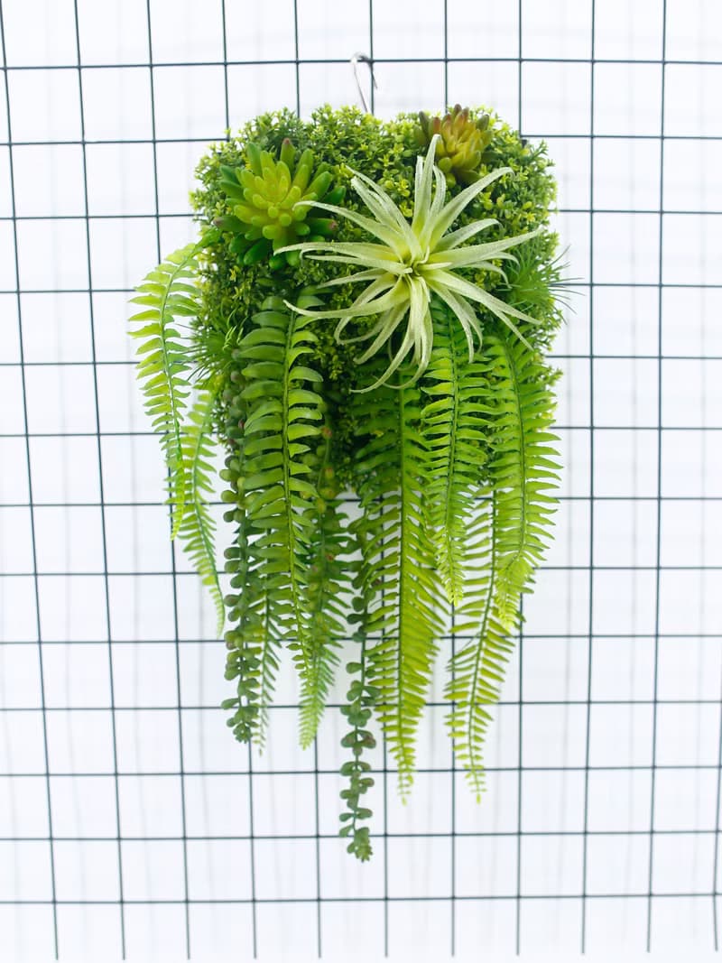 空氣鳳梨蕨葉植生框/擬真植物/壁面裝飾/花禮/電箱佈置/居家佈置