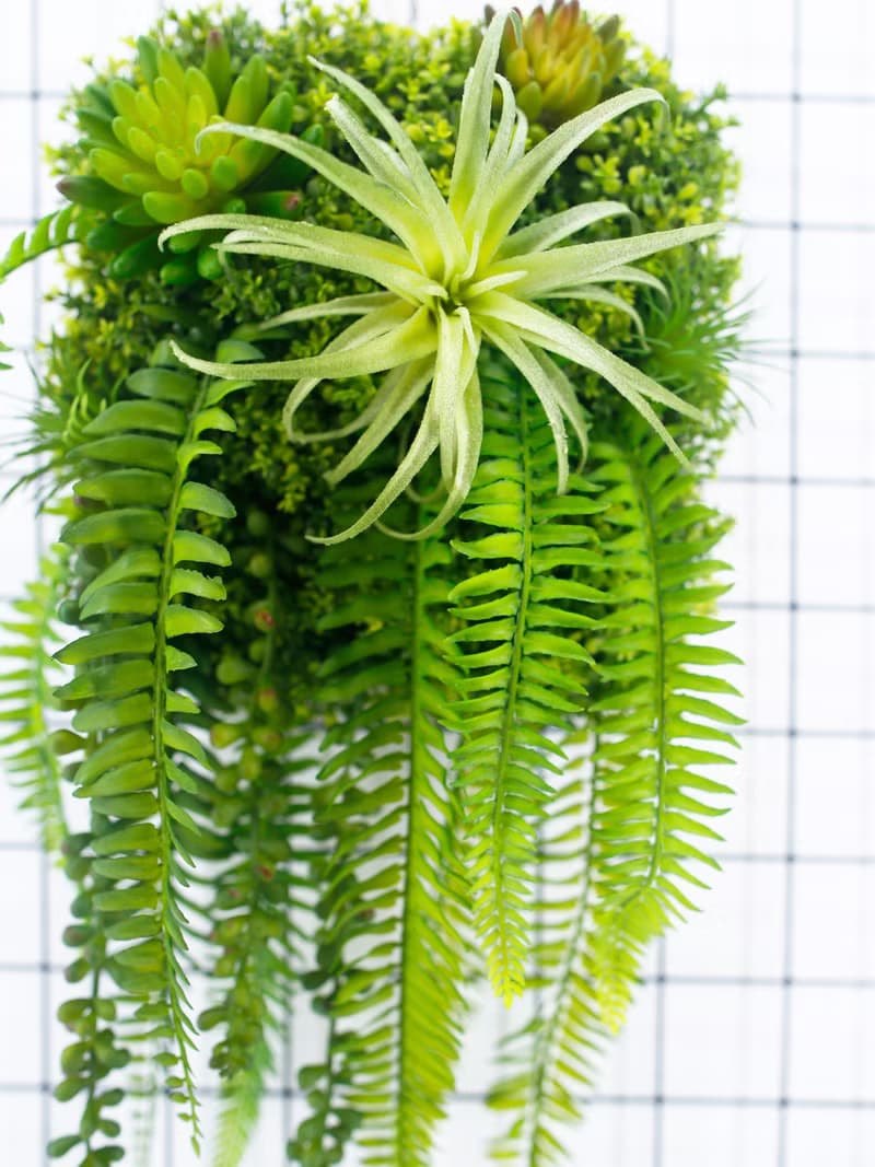 空氣鳳梨蕨葉植生框/擬真植物/壁面裝飾/花禮/電箱佈置/居家佈置