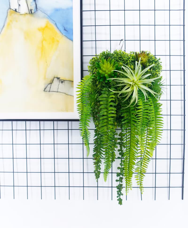 空氣鳳梨蕨葉植生框/擬真植物/壁面裝飾/花禮/電箱佈置/居家佈置