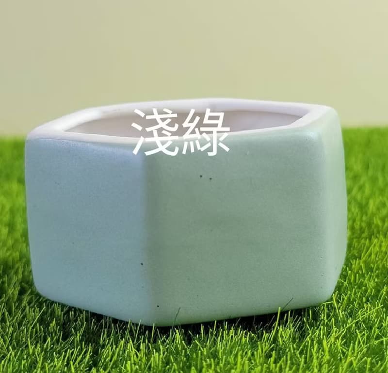 冷瓷土/黏土花藝-幸運草小盆栽/送禮