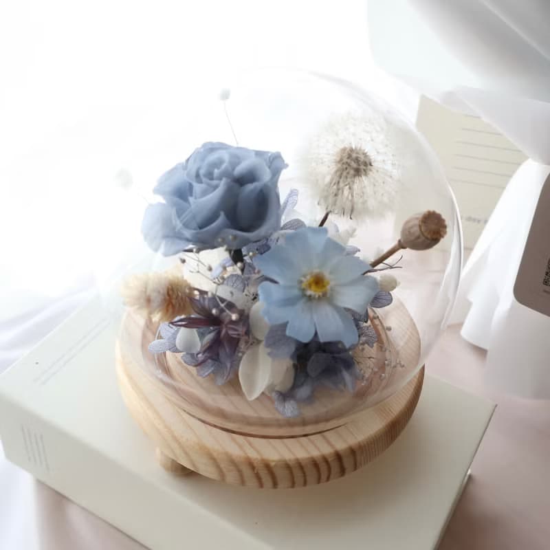 蒲公英藍白色永生小夜燈圓形玻璃鐘罩 附盒子情人節禮物 生日禮物