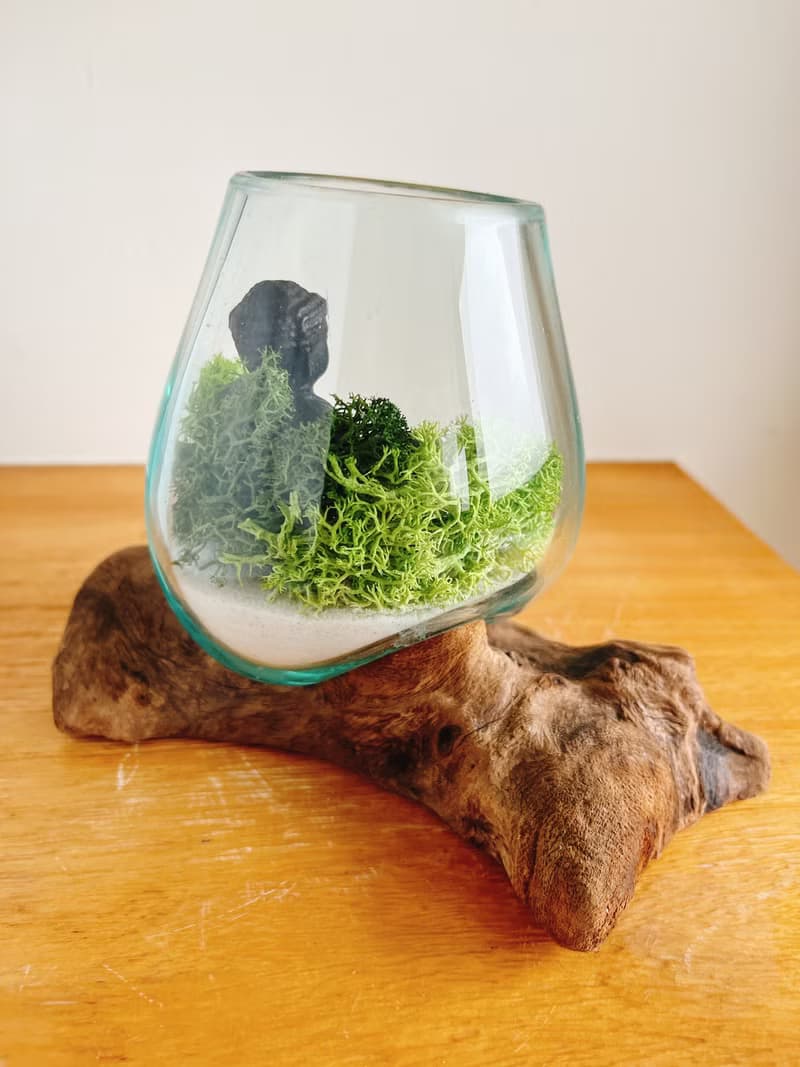 純自然 峇里島風 diy組 柚木玻璃 佛 禪 乾燥植物 盆栽 送禮 小物
