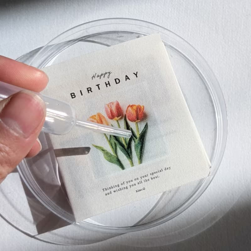 溶解飾品 / 生日禮物 / 項鍊 / 鬱金香 / 立方氧化鋯