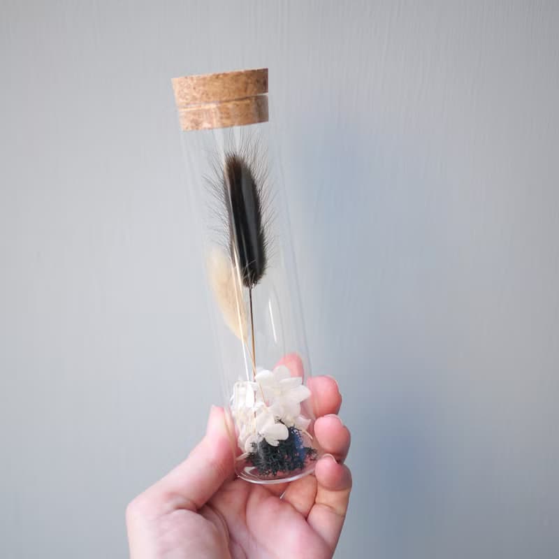 伊登花室 可可兔尾草 玻璃試管 / 單個