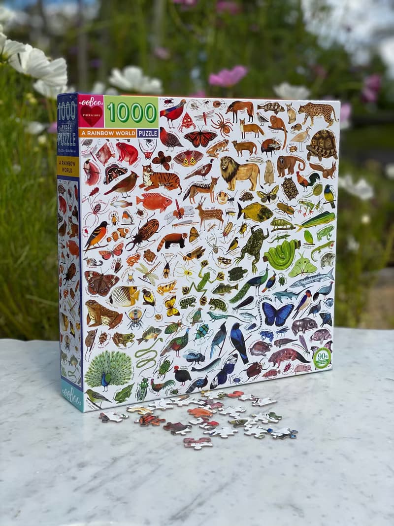 eeBoo 1000片拼圖 -彩虹世界 A Rainbow World 1000 Piece Puzzle
