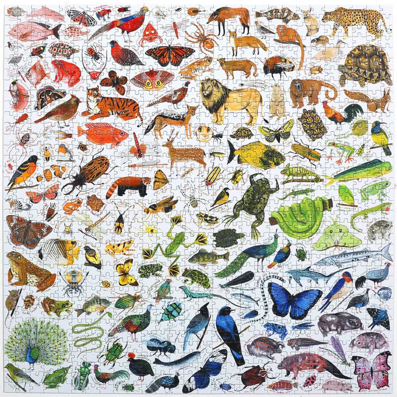 eeBoo 1000片拼圖 -彩虹世界 A Rainbow World 1000 Piece Puzzle