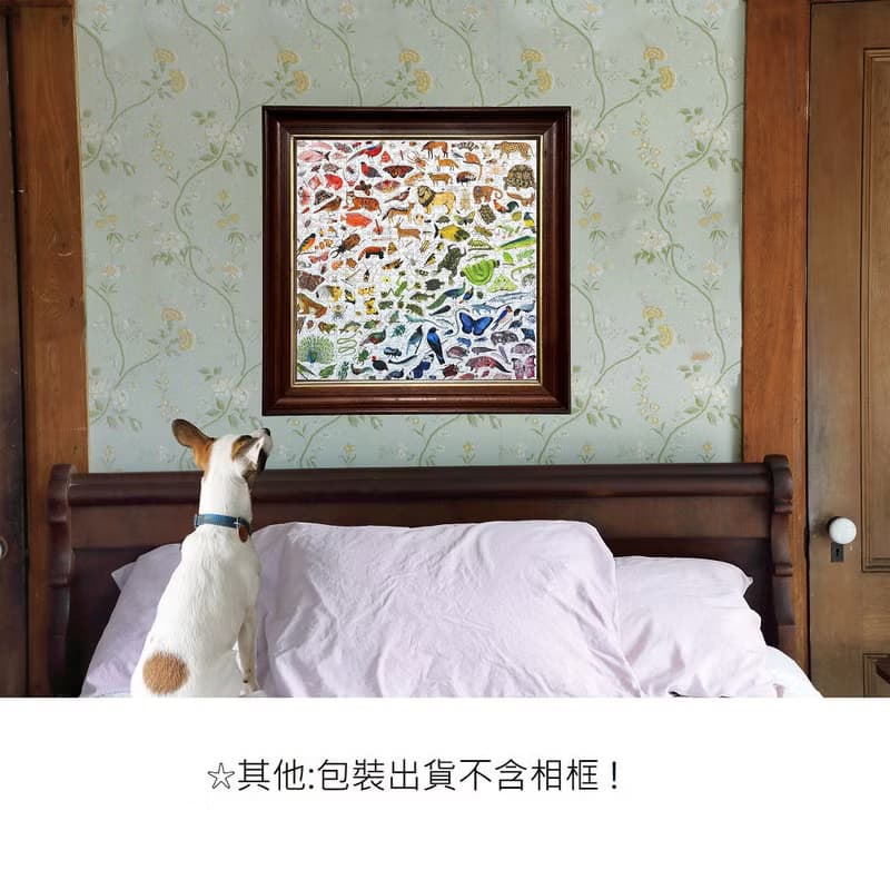 eeBoo 1000片拼圖 -彩虹世界 A Rainbow World 1000 Piece Puzzle