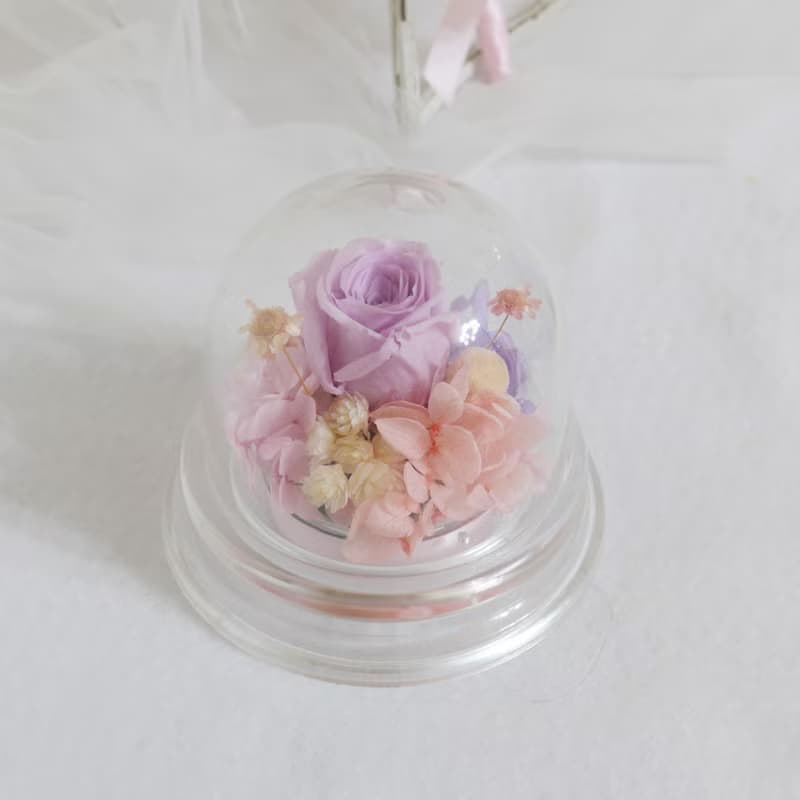 情人粉紫鐘罩 結婚捧花永生乾燥花畢業謝師禮物生日畢業禮物七夕