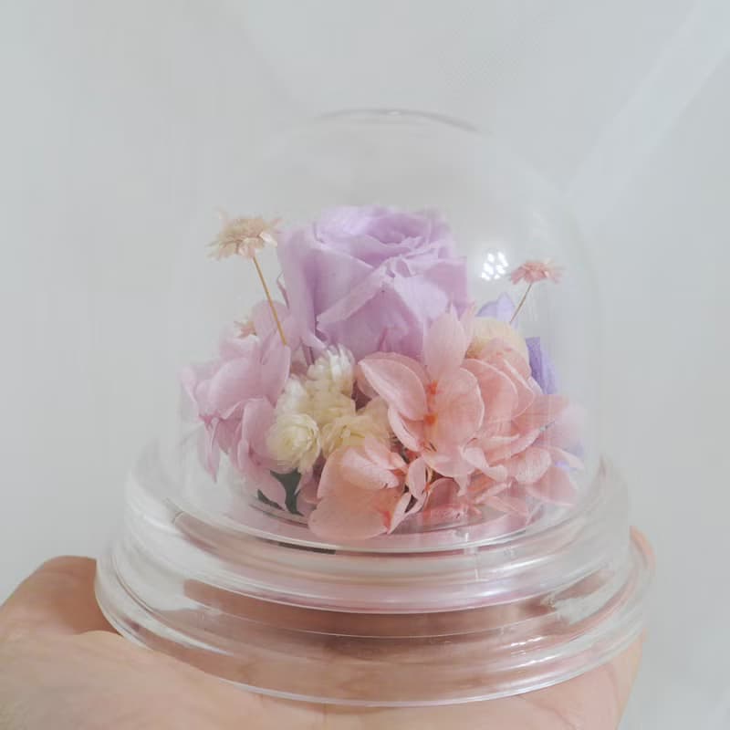 情人粉紫鐘罩 結婚捧花永生乾燥花畢業謝師禮物生日畢業禮物七夕