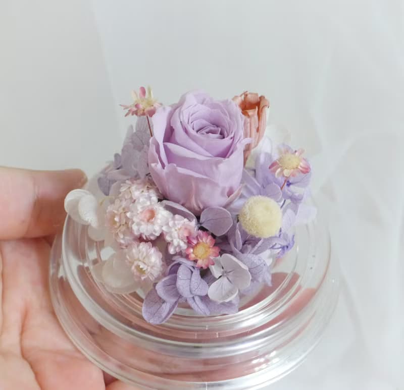 情人粉紫鐘罩 結婚捧花永生乾燥花畢業謝師禮物生日畢業禮物七夕