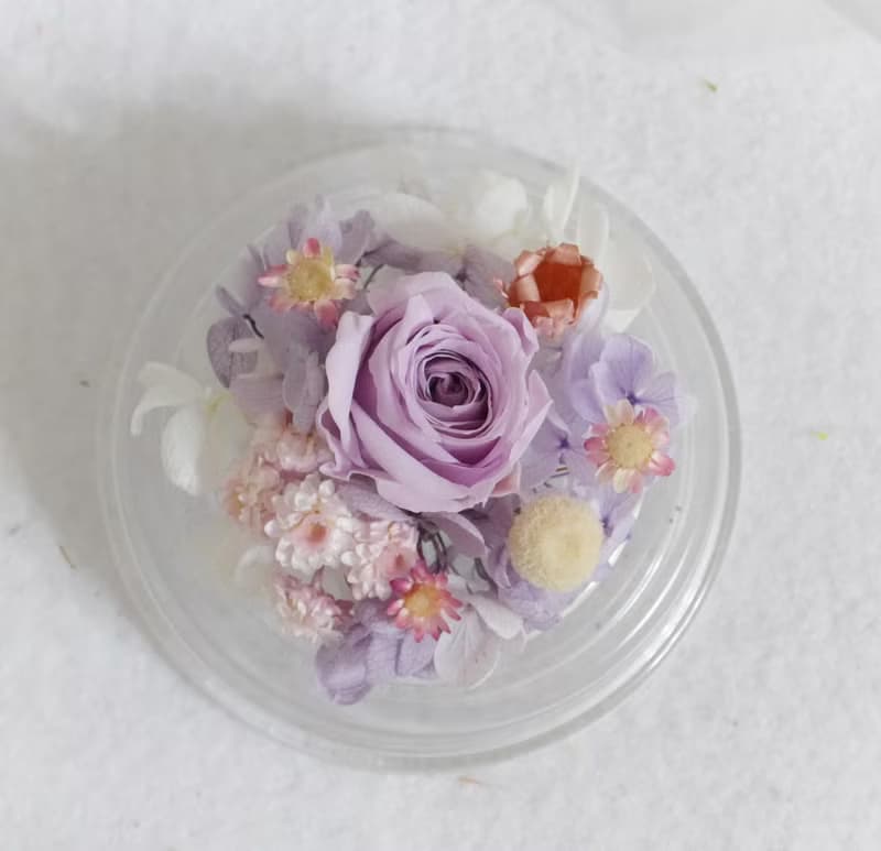 情人粉紫鐘罩 結婚捧花永生乾燥花畢業謝師禮物生日畢業禮物七夕