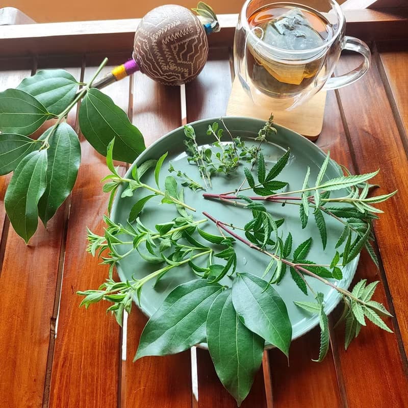 馬鬱蘭花茶包-農園4種無毒香草-馬鬱蘭+土肉桂+芳香萬壽菊+甜菊
