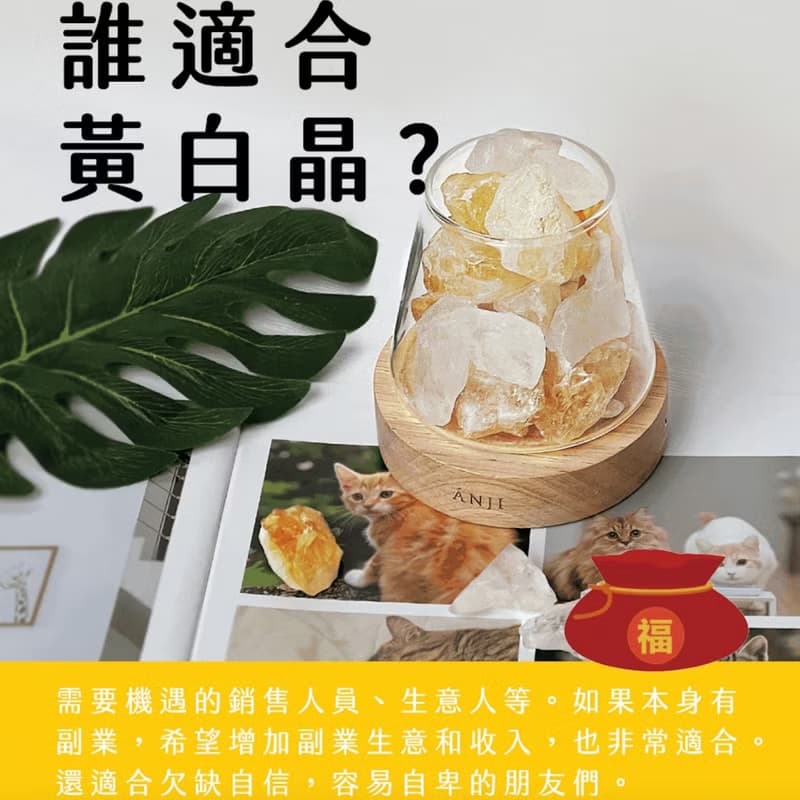 旺財運 黃白混晶  | 聚財 X 好運 水晶岩燈 送小蒼蘭 禮物 開春