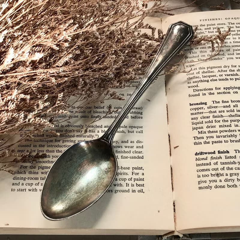 百年古董 美國1913年製鍍銀大湯匙/分菜匙