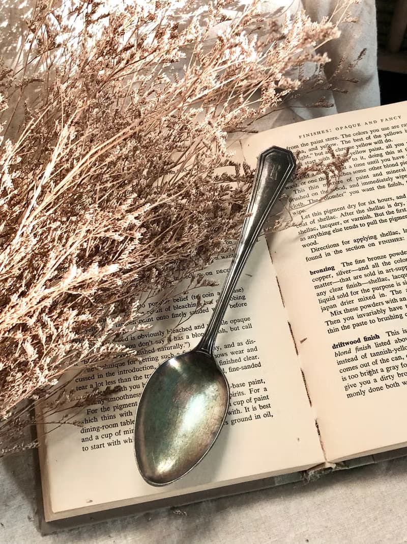 百年古董 美國1913年製鍍銀大湯匙/分菜匙