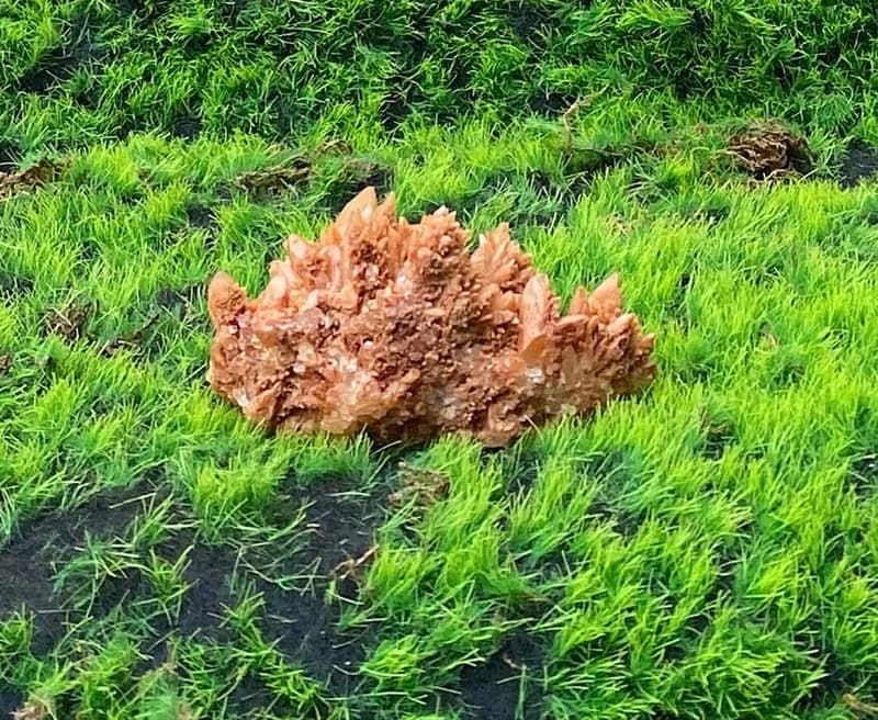 能量擺飾-一直有錢花 紅方解晶花簇 財運晶簇 招財開運 開工 禮品