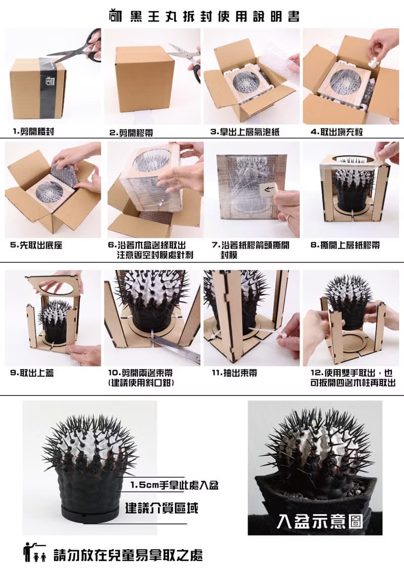 黑王丸(小)/仿生植物/塊根/居家擺飾/水泥飾品